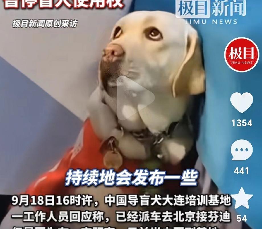这也太可怕了盲人虐待自己的导盲犬导盲犬作为盲人的眼睛，相信都会好好珍惜，因