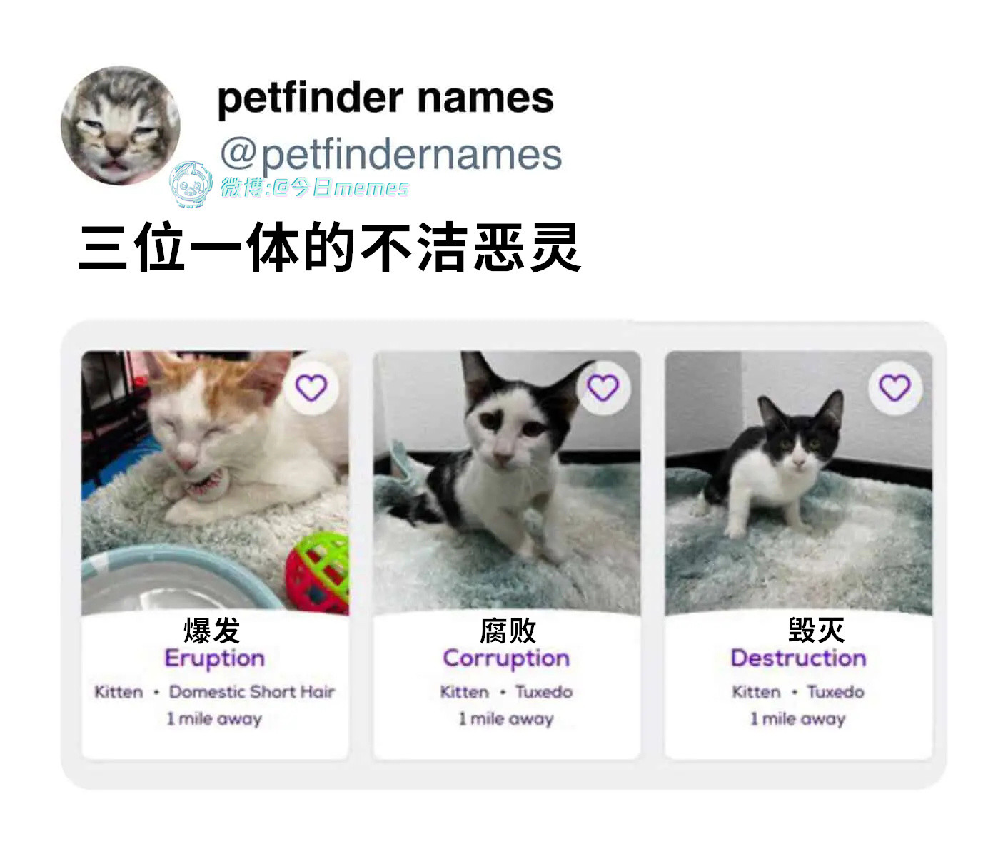 恶三（petfindernames）今日meme今日memes
