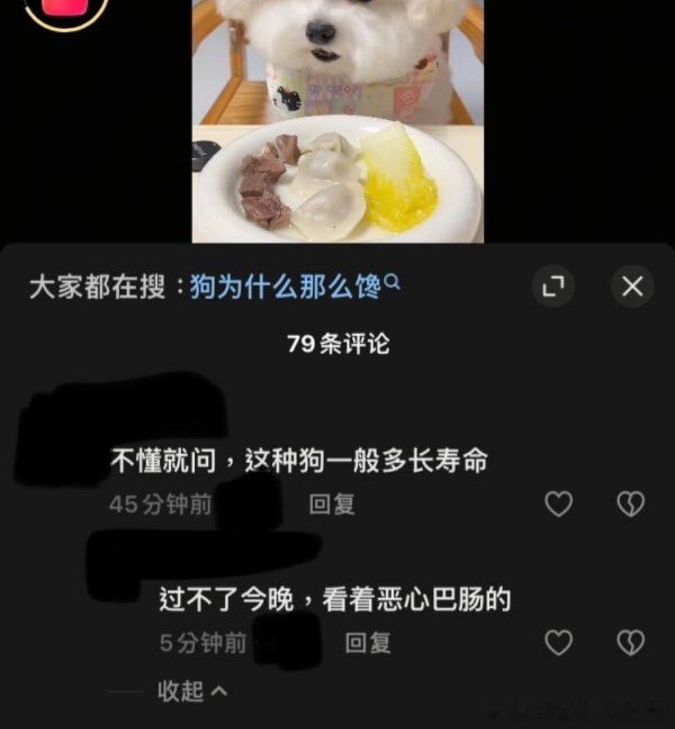 bro闹麻了，连小狗🐶都妒忌