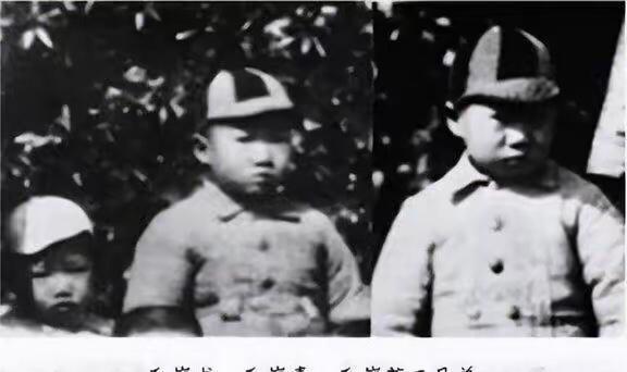 毛泽东三个儿子合影。1931年，地点上海，上海法租界法国公园，现在是复兴公园