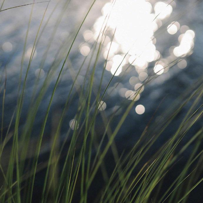 一瞬间的温柔...摄|青山风月