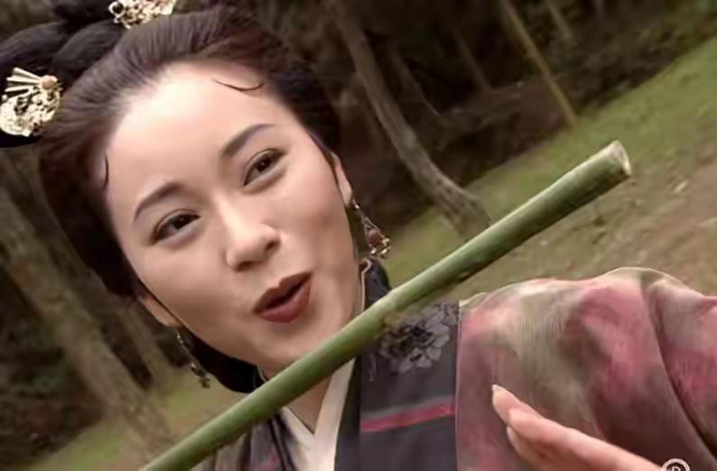 萧峰为何从不用打狗棒法？其实他是不敢用，你看周芷若说过什么？萧峰是金