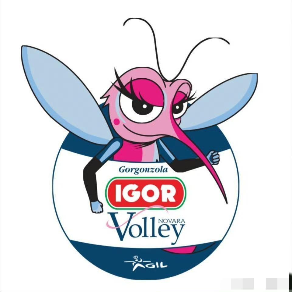 网上传2026-2027赛季意大利🇮🇹诺瓦拉俱乐部14人名单，待官宣：主