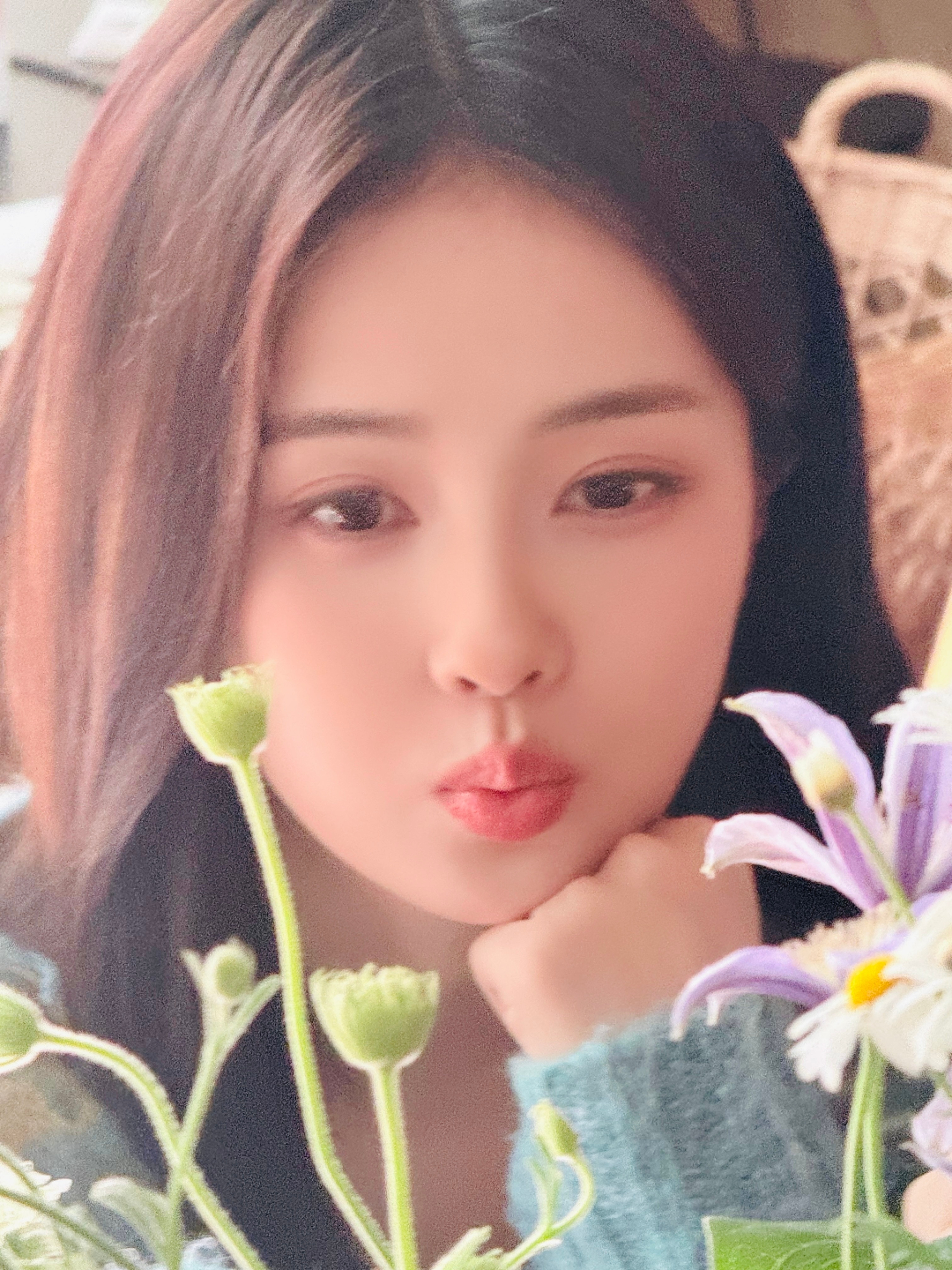白鹿奔跑吧白鹿白鹿开到荼蘼初见时惊鸿一瞥怦然心动是你