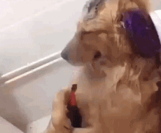 爆笑GIF: 有个这样的女友, 你永远不知道下一刻会发生什么。