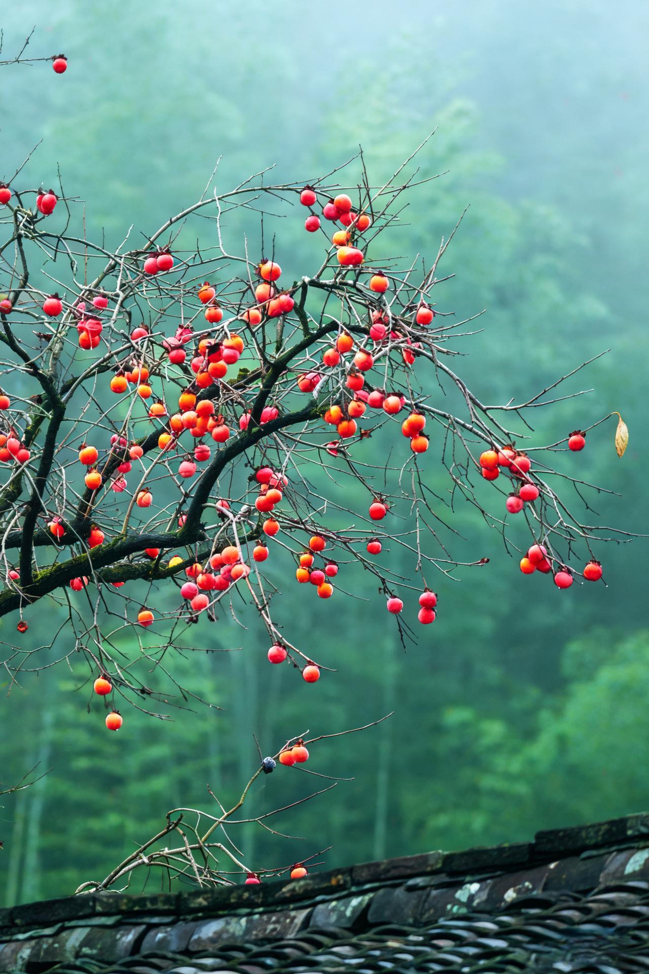 育儿专家说：“无论孩子多么让你失望，都别嫌弃贬低。他或许平凡，却是你血脉相连骨