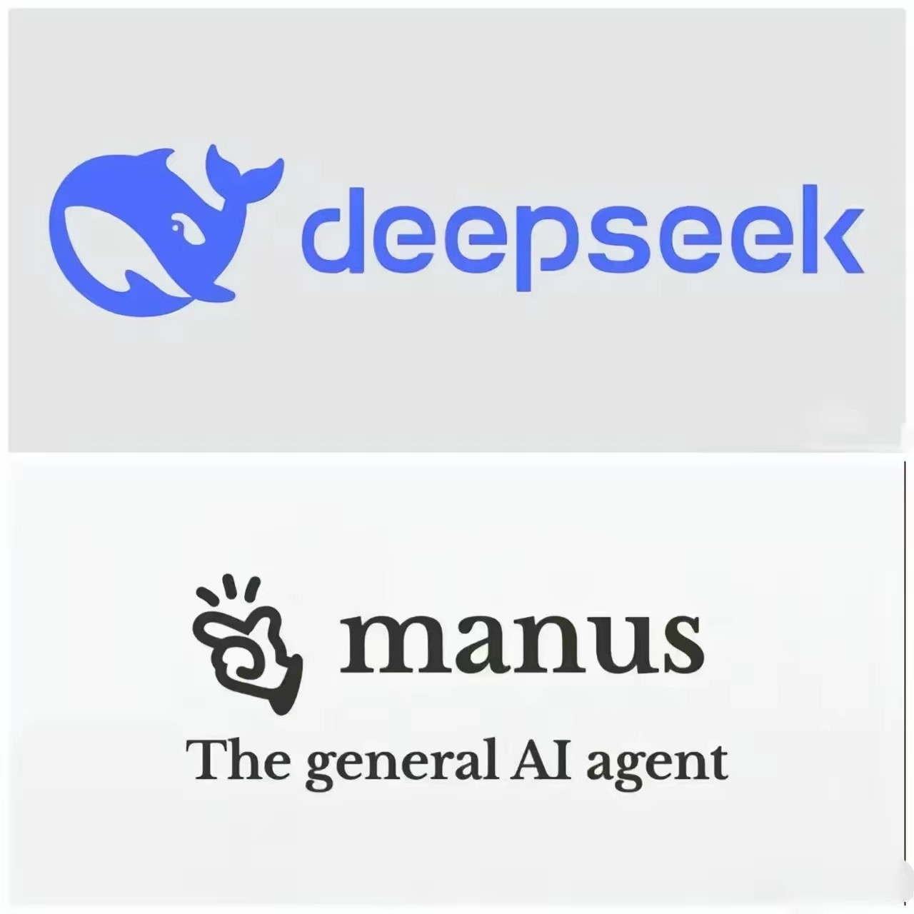 我问我老公，已经有了Deepseek，为什么又出来一个Manus，这不浪费吗？​