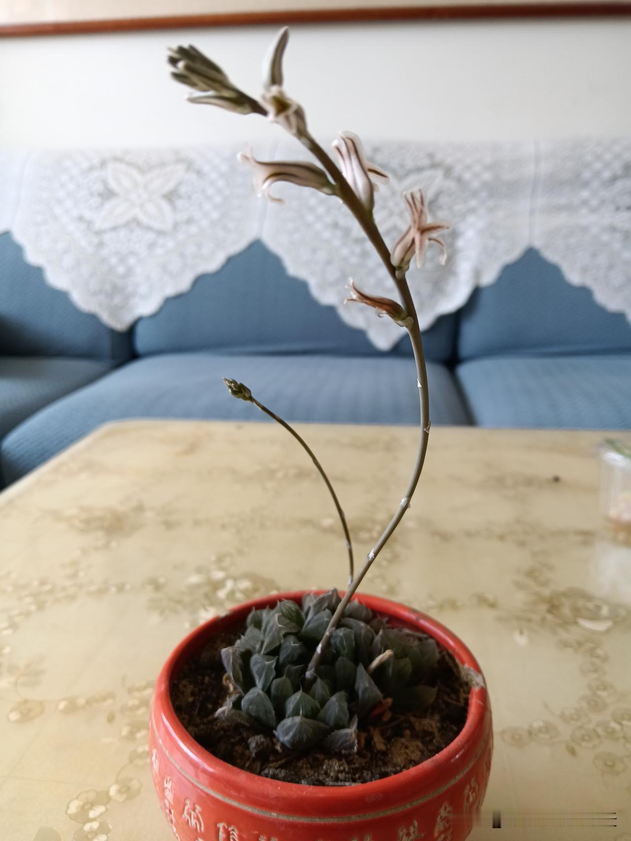 世界上最坏的9样东西:1、烟：骗你的钱还要你的命。2、酒：撩你的心还乱你的