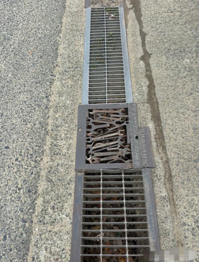 看看我发现了什么