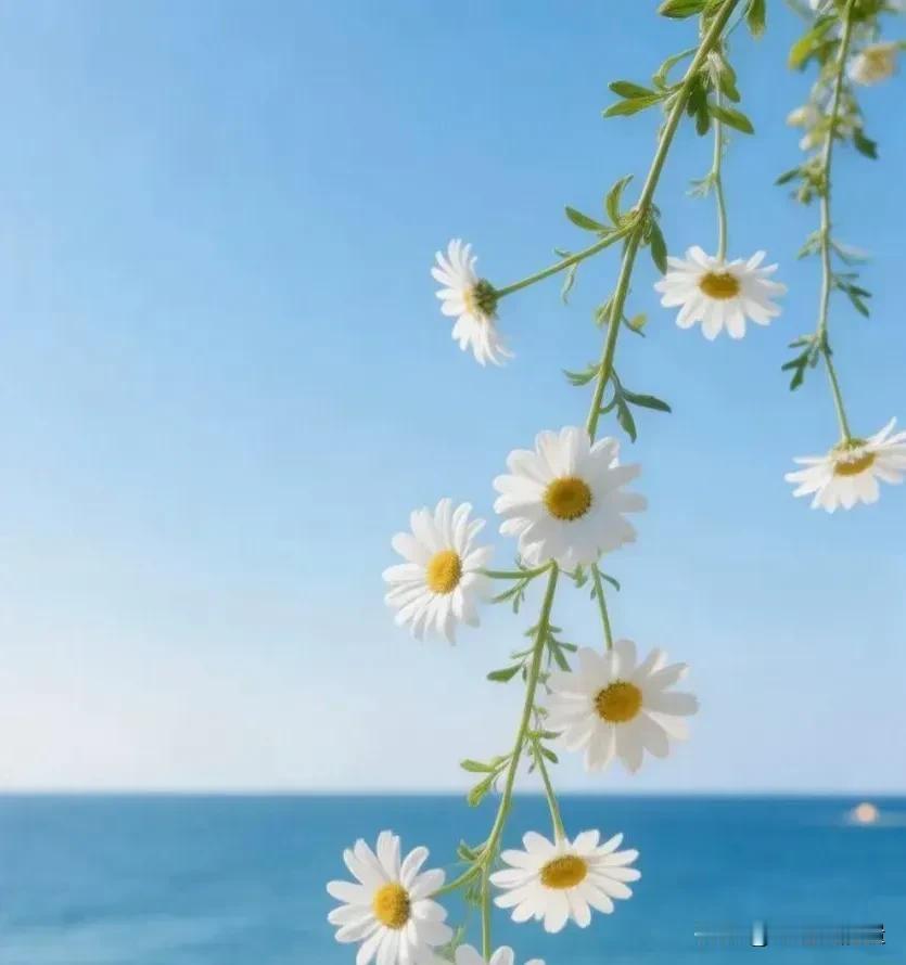 你养不起自己时，别人也不愿意养你，因为你是累赘，你撑得起自己时，别人才愿