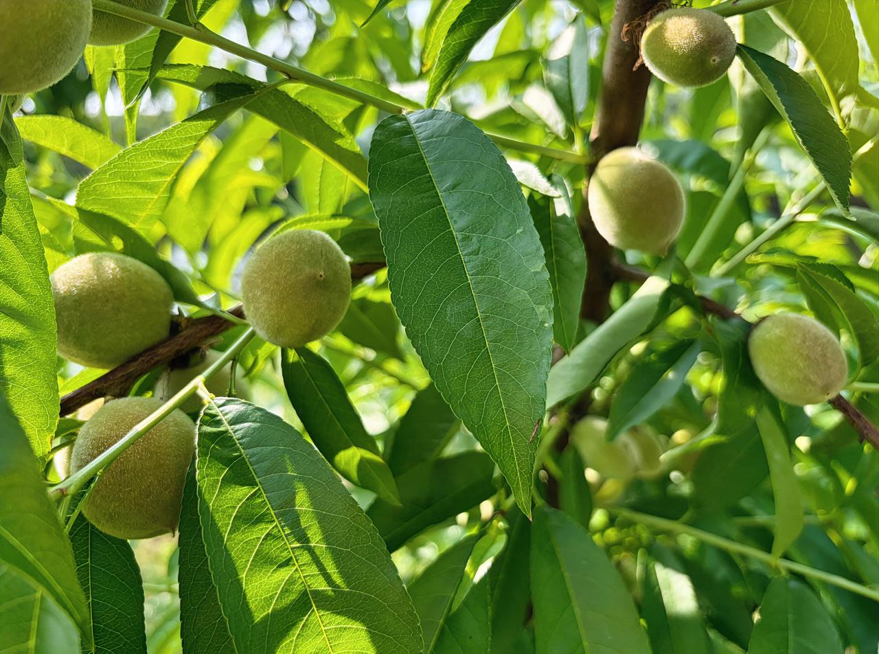 我发现一件很现实的事，人过了五十岁，就突然谁也不想理了。以前的同学、朋友、老