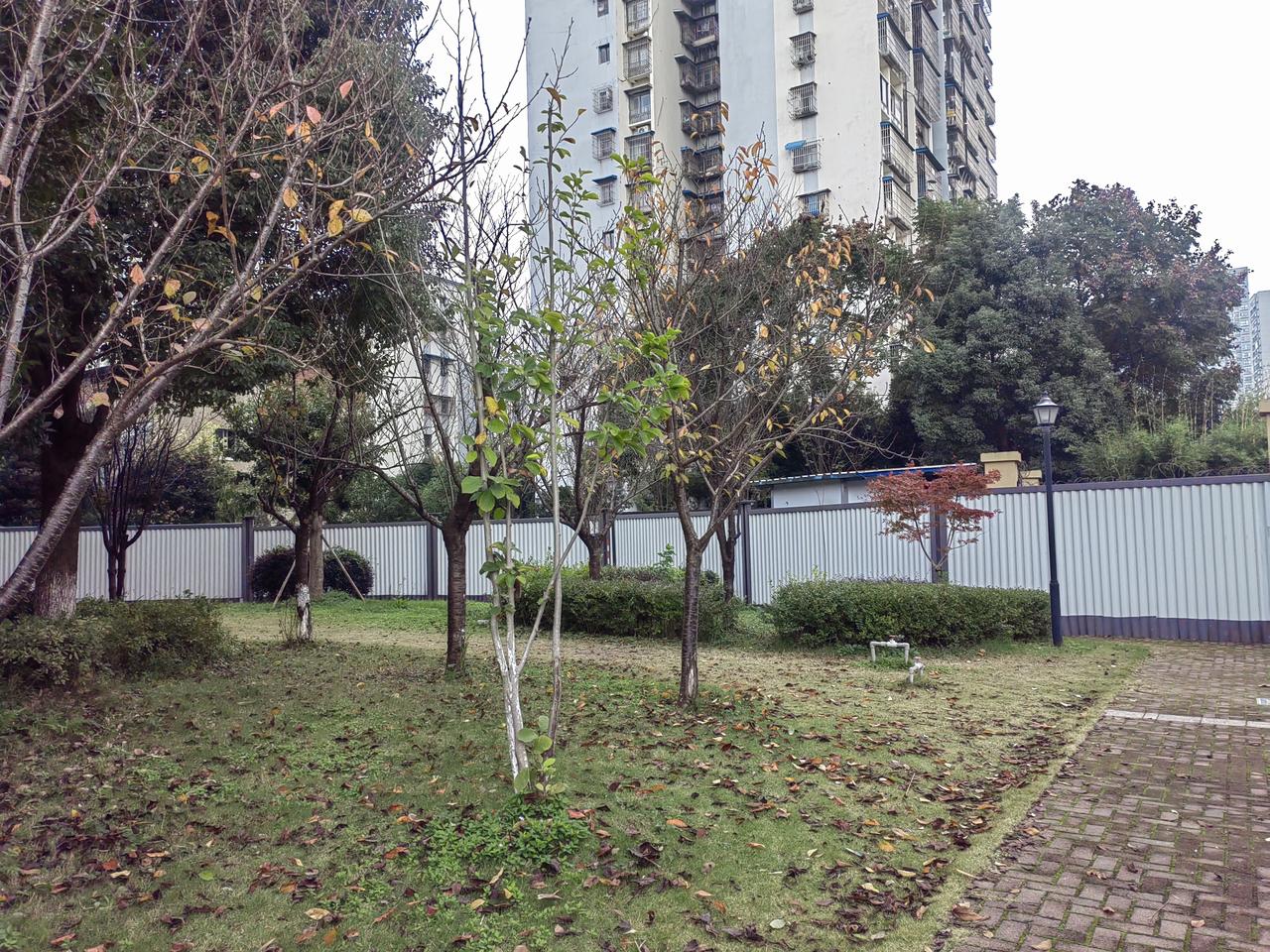 二手房价格上肯定占优势，也就是价格便宜。我对二手房的认识是，主人居住的房子，本来