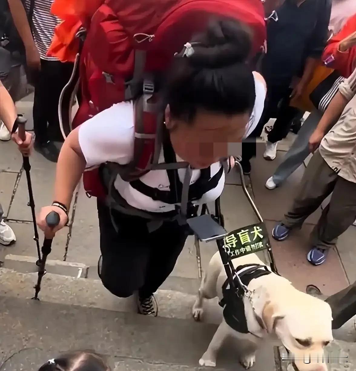 本以为盲人跟导盲犬是彼此依靠的暖心组合，结果全是他们博眼球的套路——为了短视频有