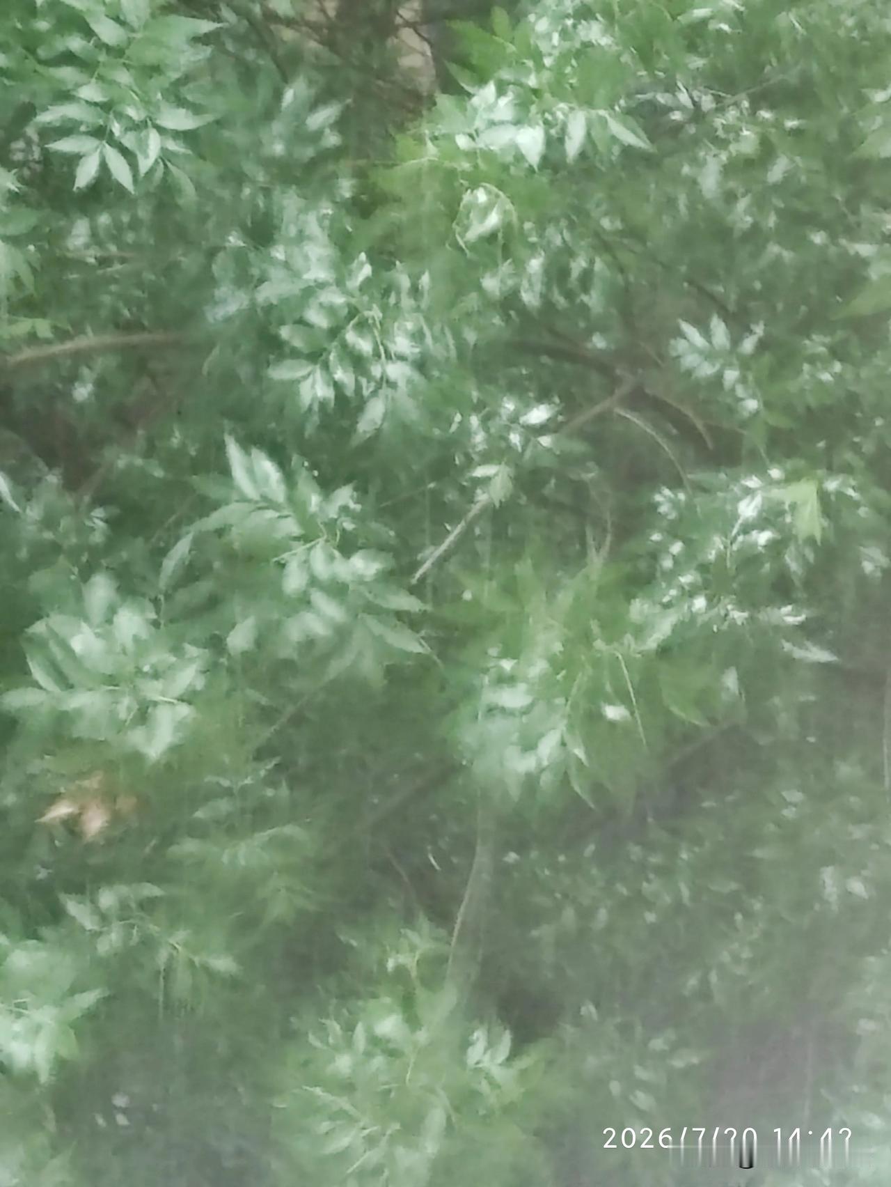 我的今日状态：😁轻松愉快我这里的天气：🌧下雨今年的雨水怎么这么勤呢！早晨