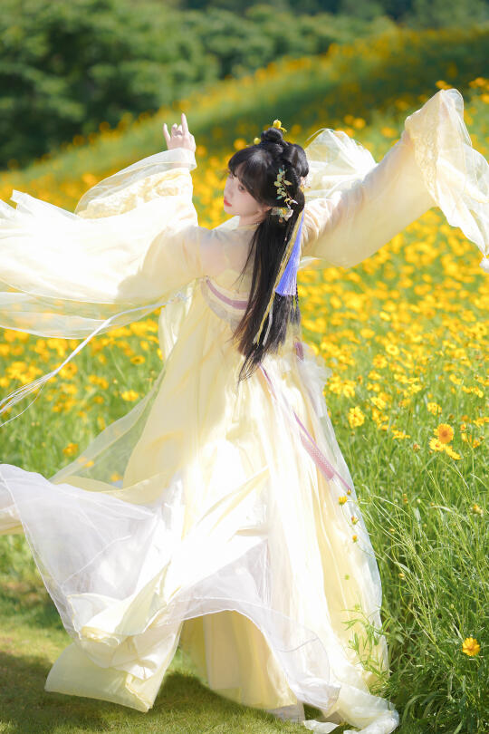 闯入漫画里的金鸡菊花海✨汉服少女夏日童话