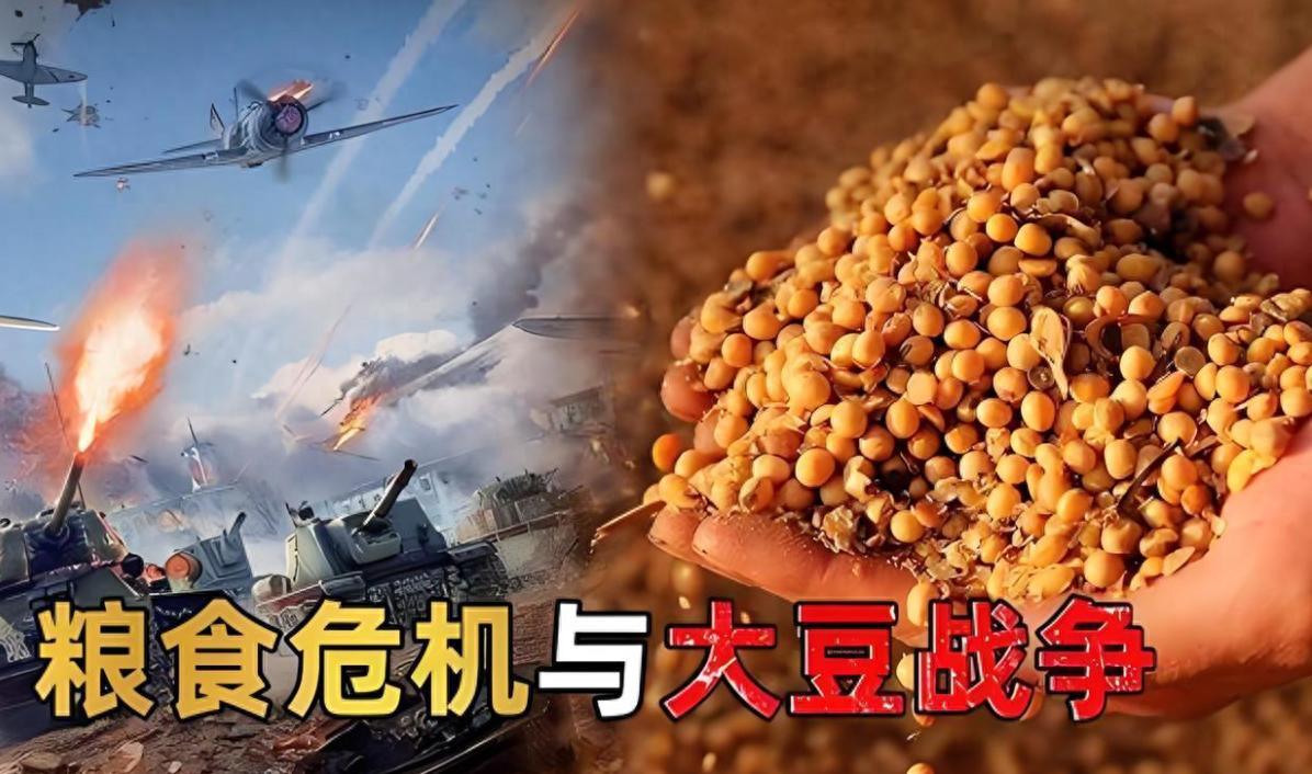 美国用一半价格
