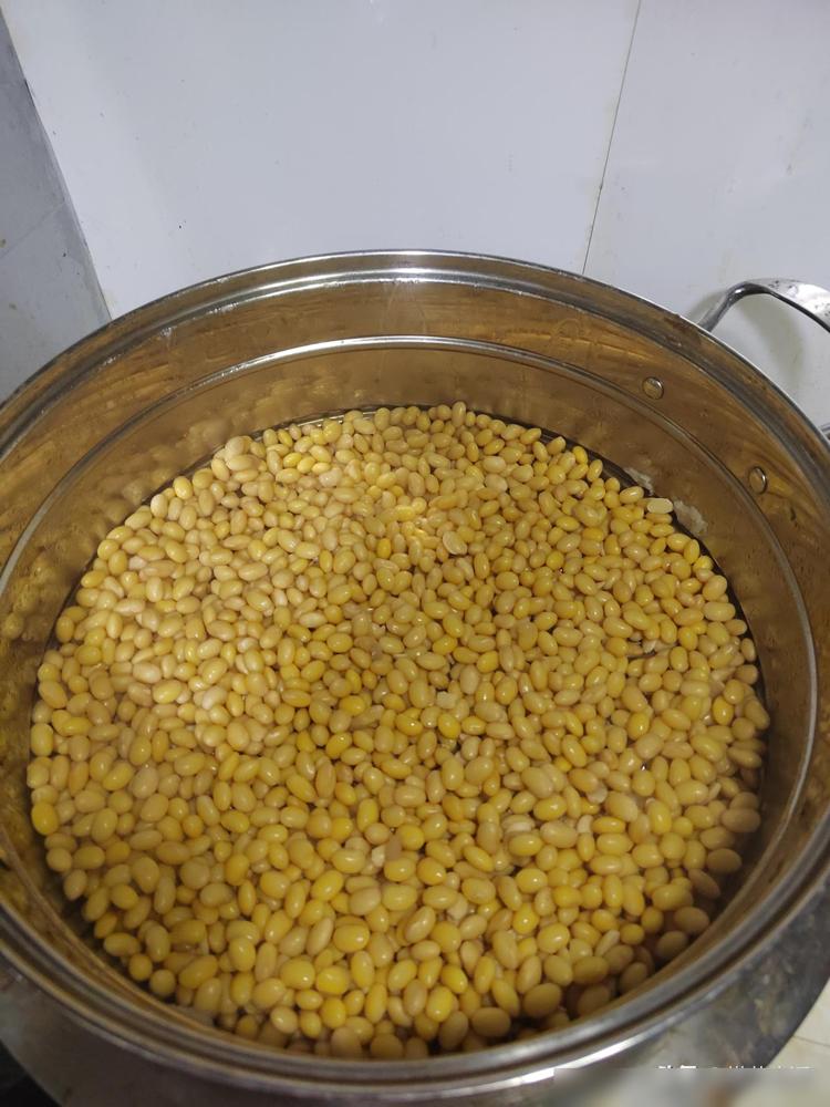 自从喝上了熟豆浆时不时就折腾一下今天又蒸了一锅黄豆三百五十克说真的我之前可傻