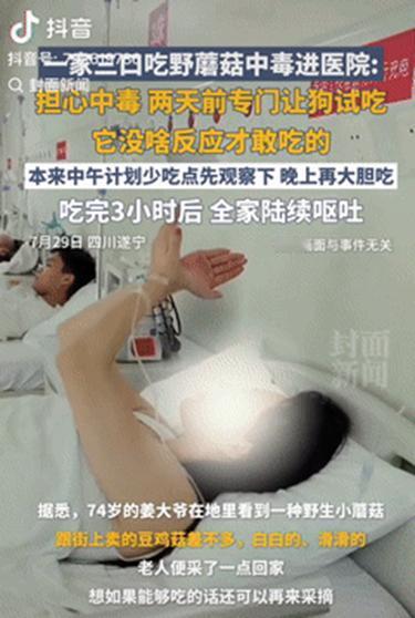 一家子都是人才！四川遂宁，一家三口吃野蘑菇担心中毒，特意提前让狗试吃，见它没啥反