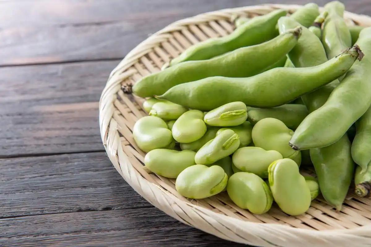 蚕豆立大功！医生发现：糖尿病患者常吃蚕豆，或能减少4种并发症小区里一位六十岁