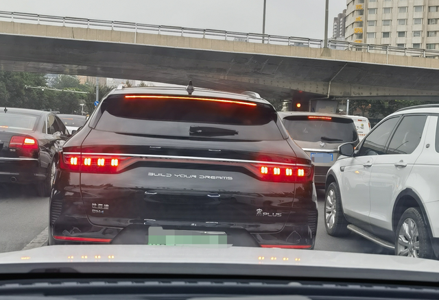 黑色的宋大米路上的宋大米灰色最多见，白色的也不少，黑色的确实不多见