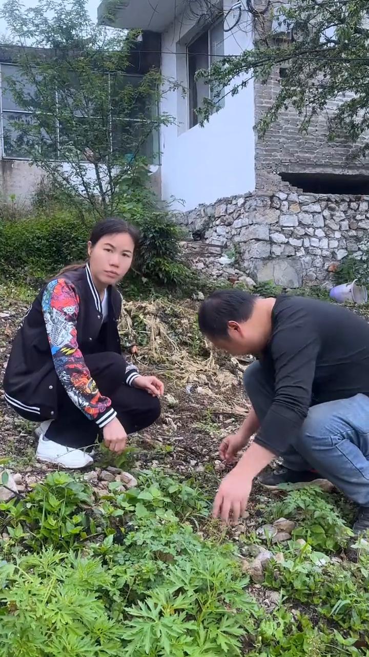 小龚，你看。