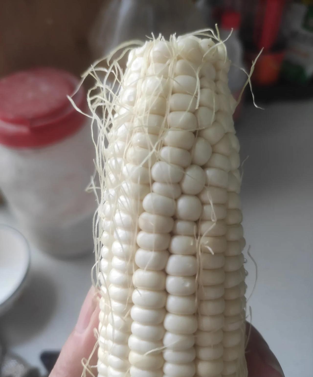 我爱吃煮糯玉米竟发现了一个辨别是不是糯玉米的方法真是简单又方便最近天天去菜