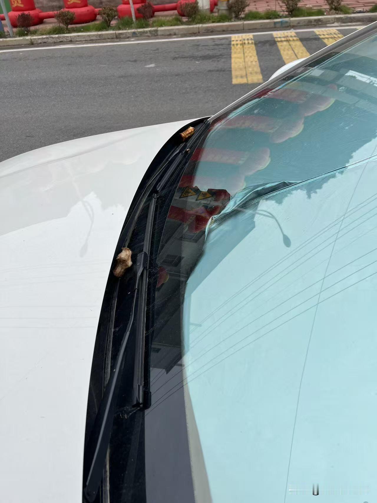 开车前要绕车一周！雨刮器被人故意放石块！本人的车平时停在村里的马路边，没有影响