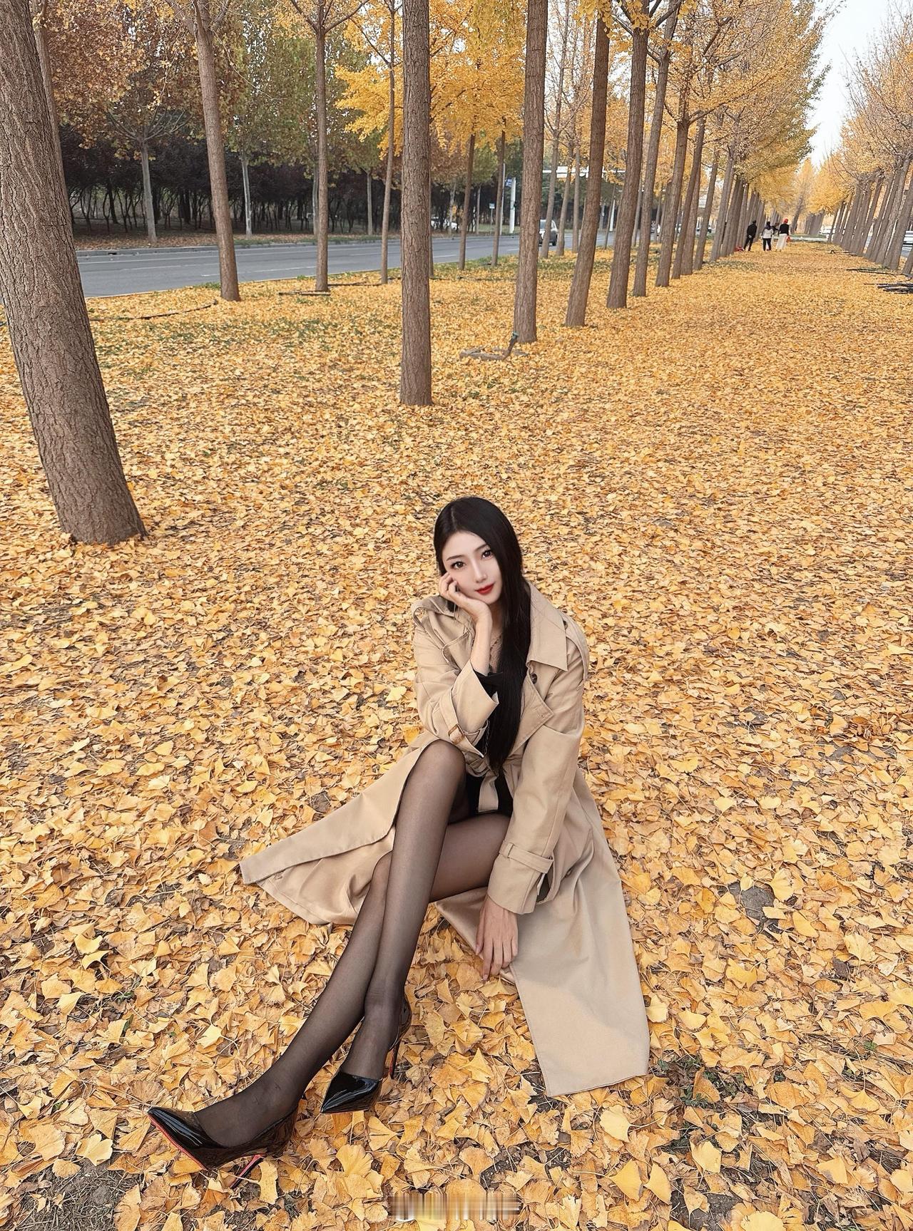 秋天到了树叶黄了