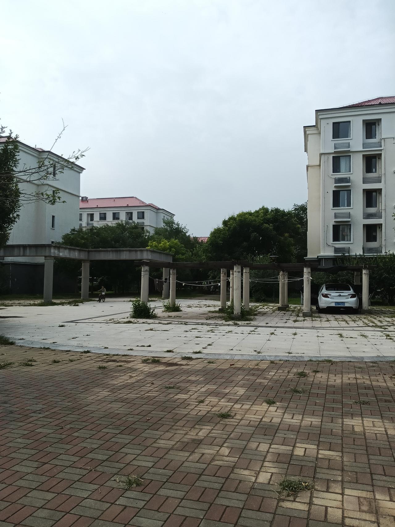 你会原谅一个出轨的男人吗？如果出轨男人回头，你会和他继续过下去吗？我是搞不懂为什