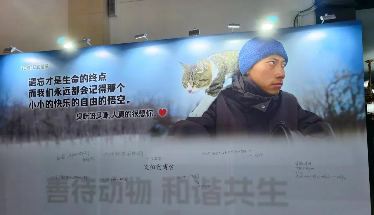 沈阳宠物展上大分，悟空赵朔大幅宣传展板。爱悟空的网友发来沈阳宠物展