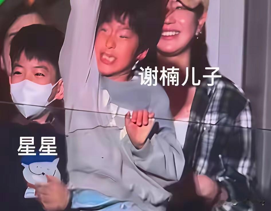 陈妍希和谢楠家一起看演唱会，谢楠家的小儿子吴虑全程不戴口罩，性格外放，完全融入了