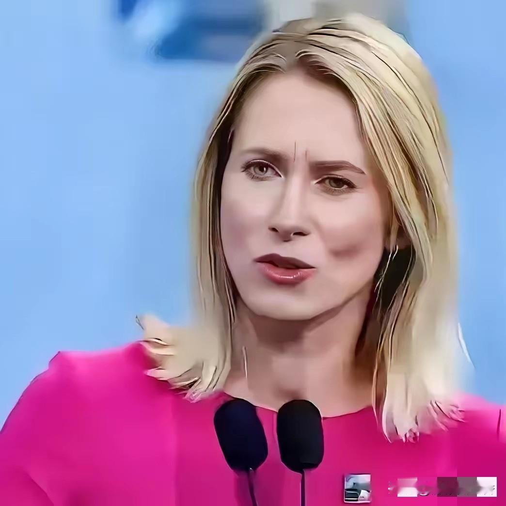 简直太离谱了！不知道卡拉斯说这话只是代表她个人，还是代表欧盟呢？​近日，作为欧