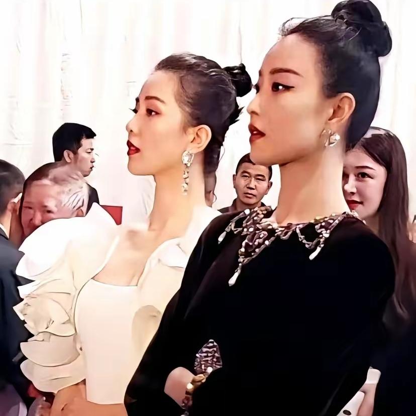 真是错怪刘诗诗了。想当年《流金岁月》宣传时，多少人因为这张“天鹅颈大比拼”的