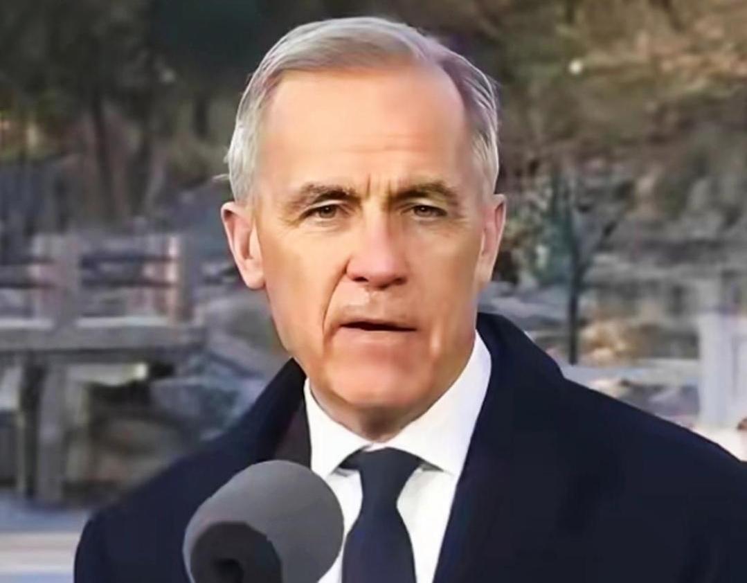 你们发现了吗加拿大的总理卡尼、法国马克龙和韩国总统李在明其实是一个套路，那就是