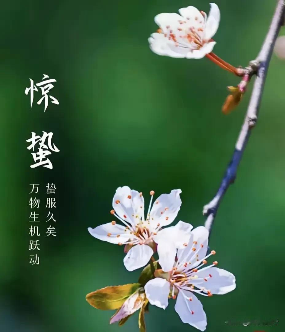上个世纪七八十年代武汉十个学院还有人记得吗？华中工学院、华中农学院、武汉建筑材