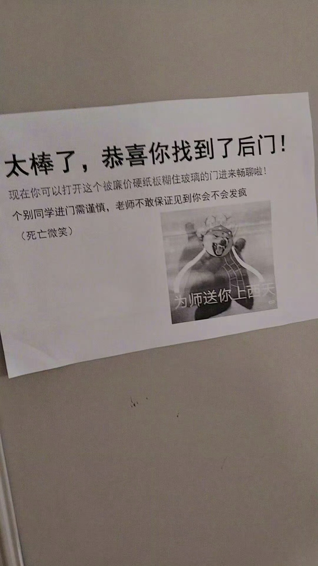 我就说00后最适合当老师吧。