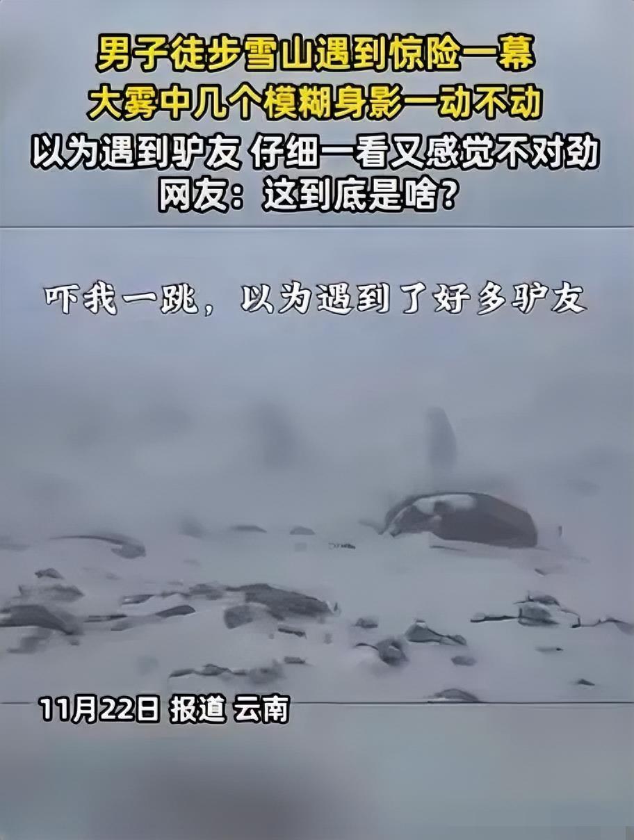 云南一男子爬雪山，爬到一半，突然发现前方出现几个模糊身影，他以为是“驴友”，结果