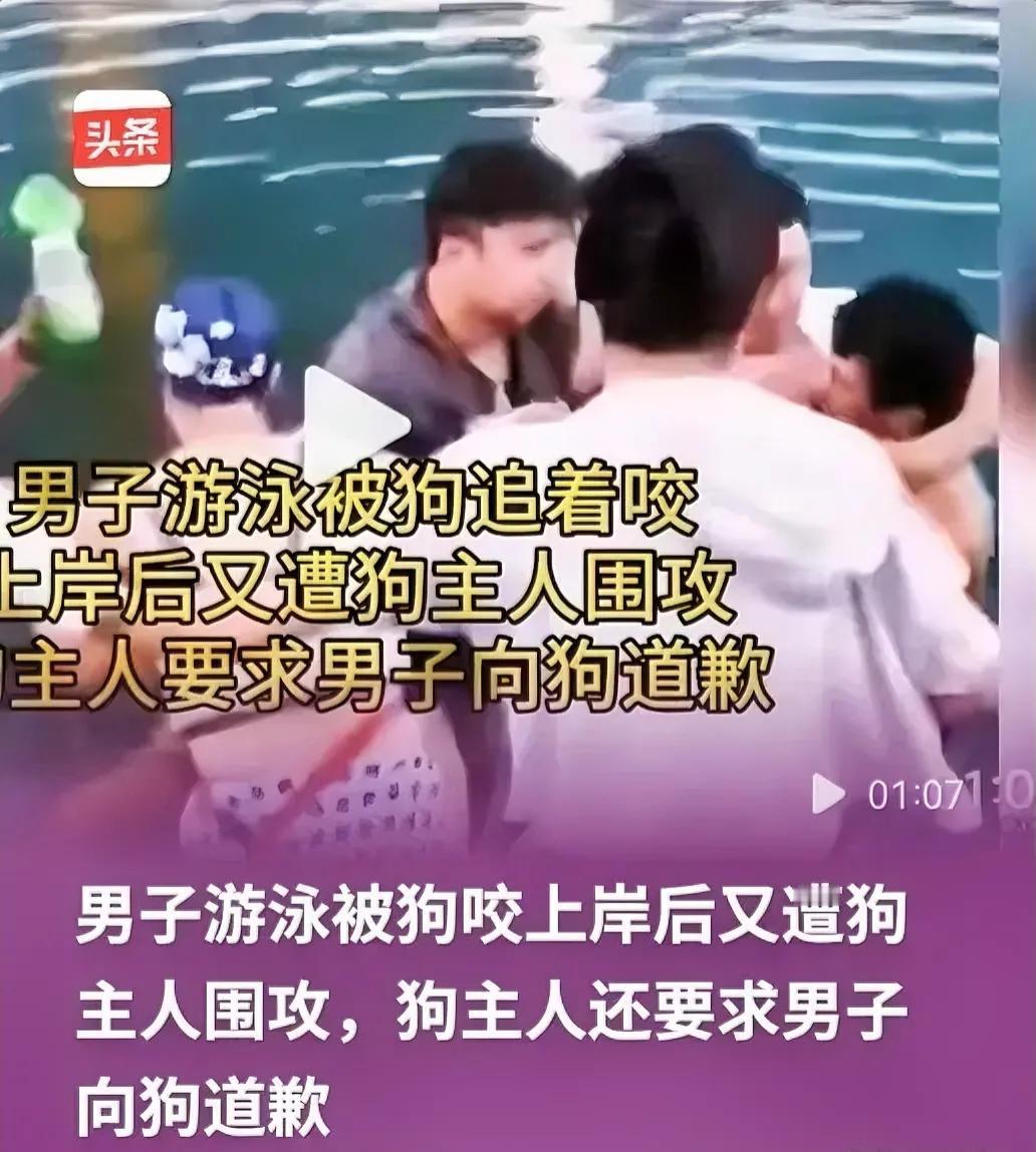 真是活久见！男子游泳被狗咬了，上岸后非但没等来一句道歉，反倒被狗主人围攻，还被要