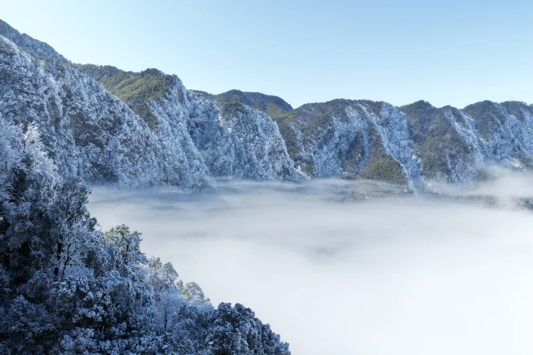今天明月山云海雾凇简直美到失语‼️ 🏔️❄️