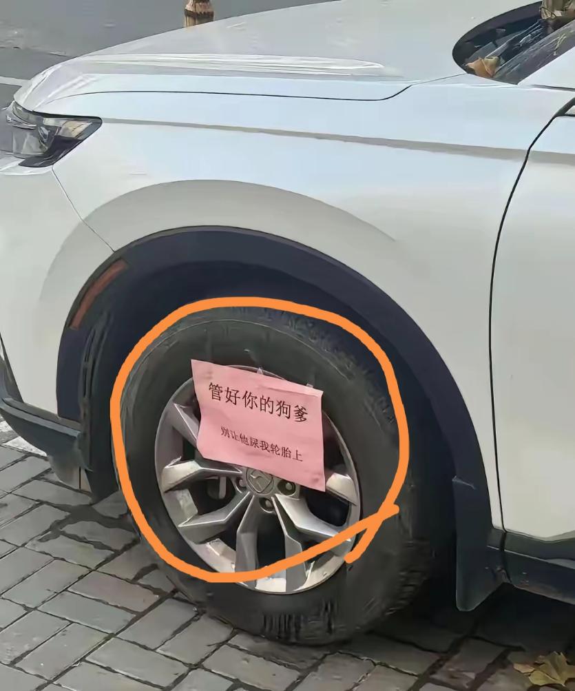 “管好你的狗爹，别让它尿在我的轮胎上”，一位车主长期被小区里的狗往轮胎上尿尿，车