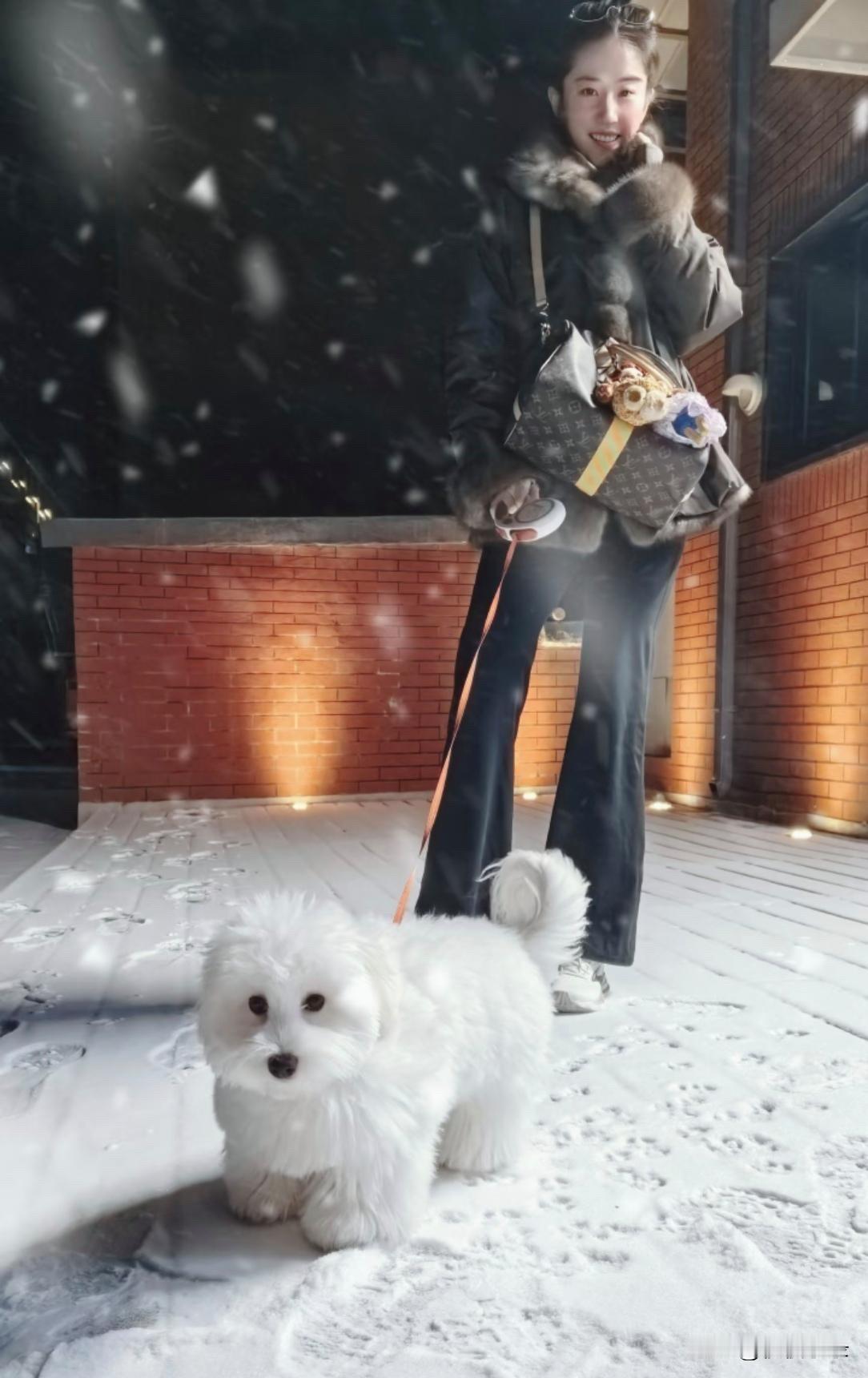 38岁刘亦菲分享雪中遛狗照片，她的身材高挑，皮肤白皙，好美啊！[玫瑰][玫瑰][