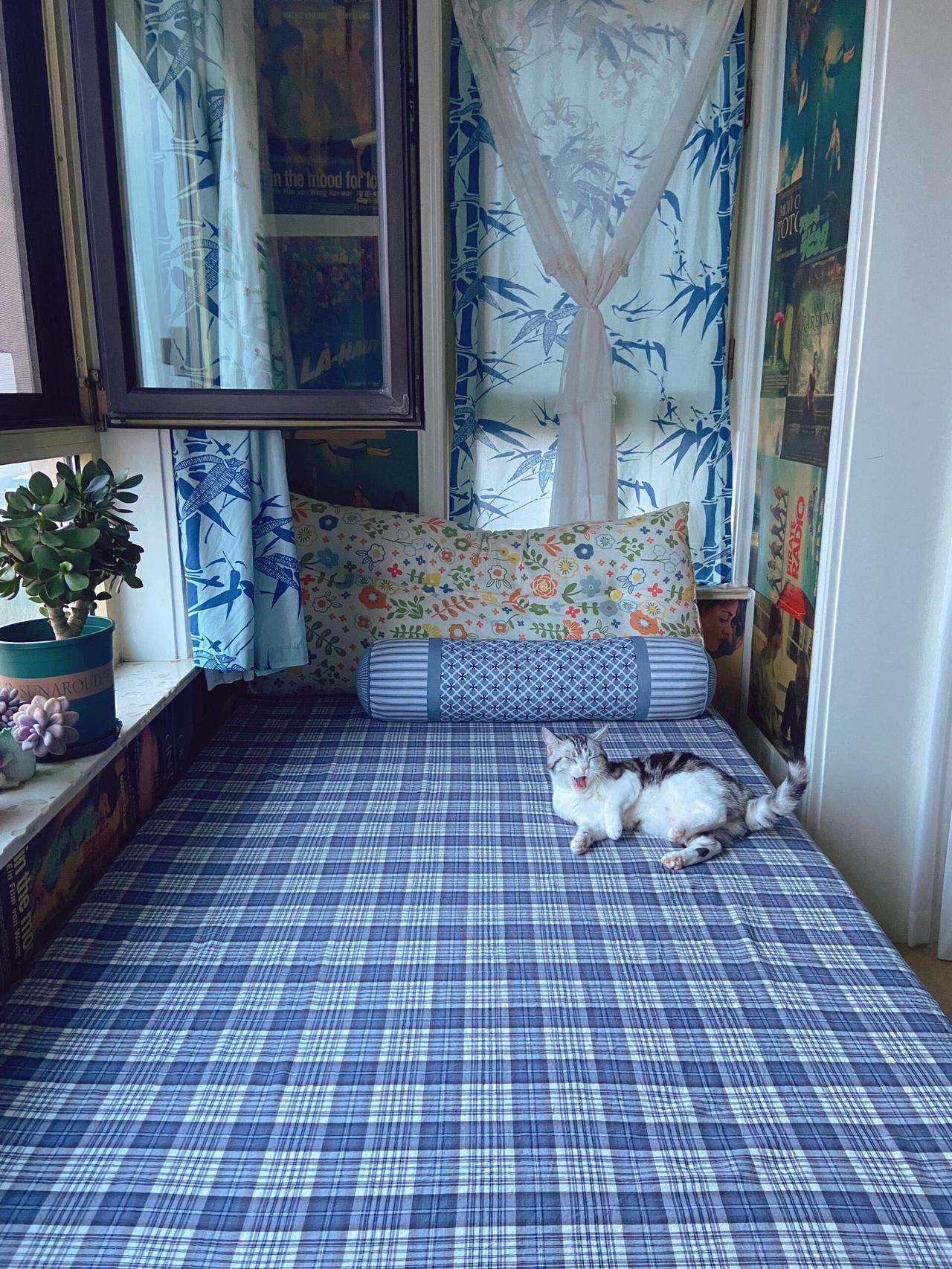 普通人家不精致但是却干干净净的房间，上午擦了玻璃，下午换了床单，重新贴了墙纸，地