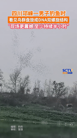 “解释不清了！”四川，一男子在河塘边钓鱼时，突然听见奇怪的声音，抬头一看发现河对