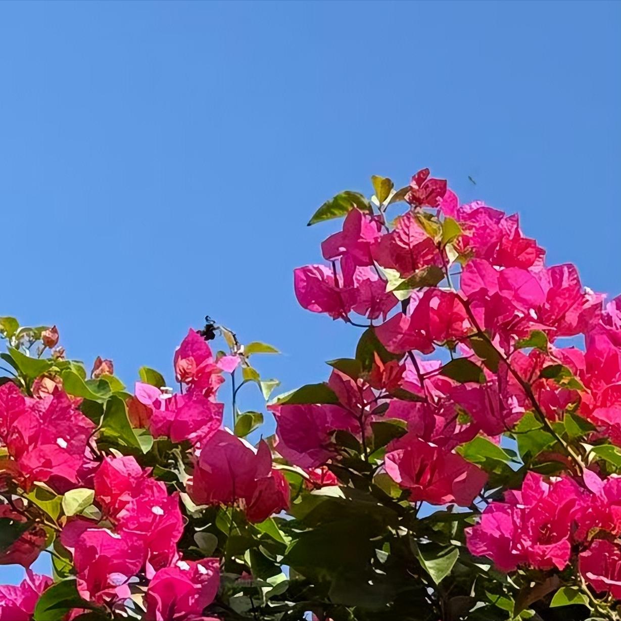 二十届中央纪委五次全会会期3天  传递出3个重要信号 二十届中央纪委五次全