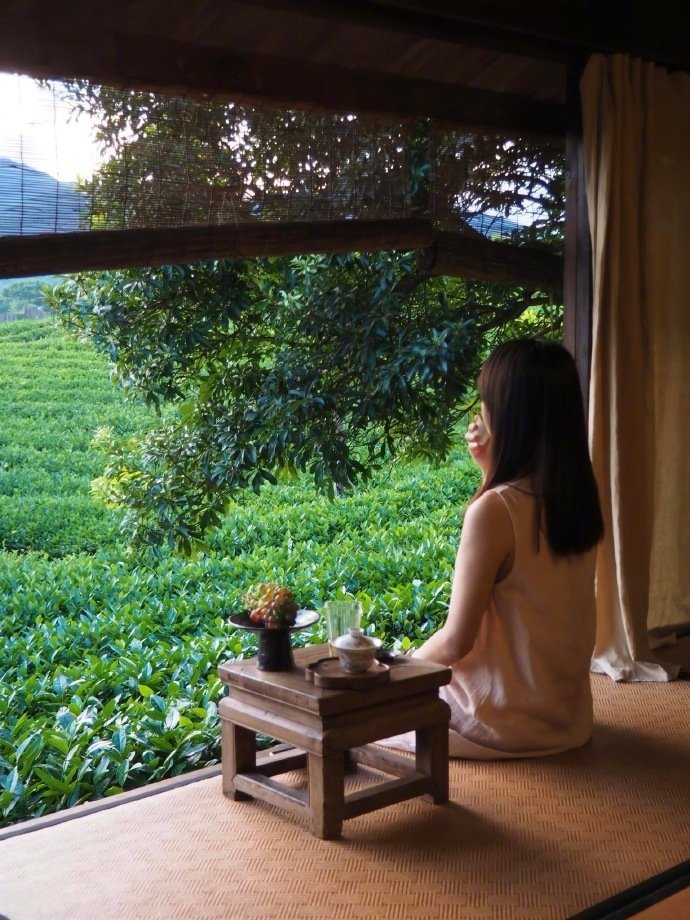 “大自然是自由的,是疲惫生活里的解药”