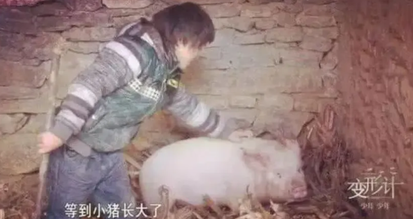 14岁山区留守少年第一次吃鸡蛋，却吃进了医院。医生的一句话，让在场所有人都泪目：