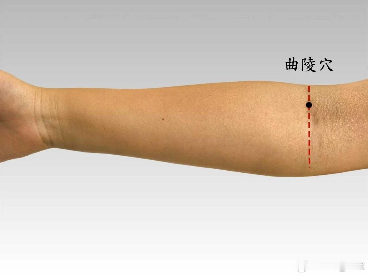 肺系疾病、筋骨关节病，曲陵穴曲陵穴源自董氏奇穴位置：在肘窝横纹上，试摸有一大筋