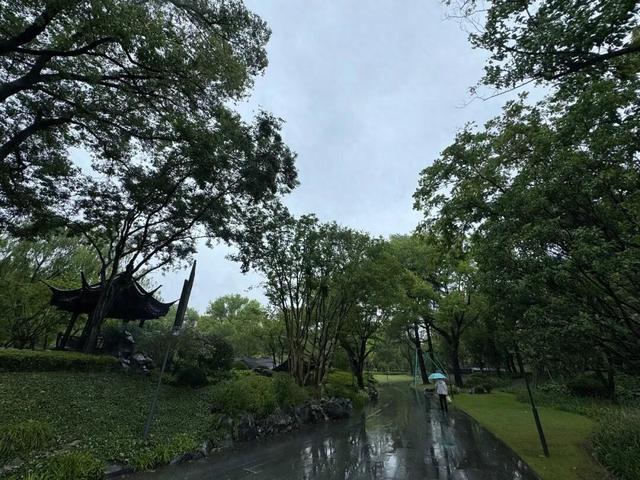 申城未来“雨水行程表”出炉, 今日夜间风力渐弱→