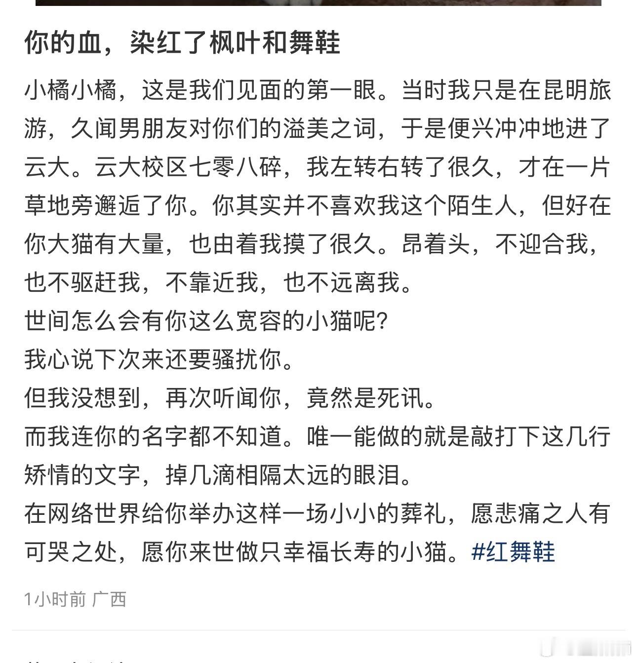 看学生们发的帖子和照片都哭了。。这么亲人的小橘子。。学生们养的好好。。云大真就