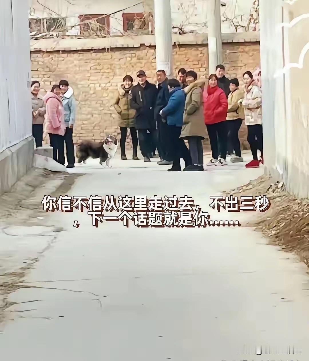 带上口罩帽子，不打招呼直接过去应该没人认出来吧？